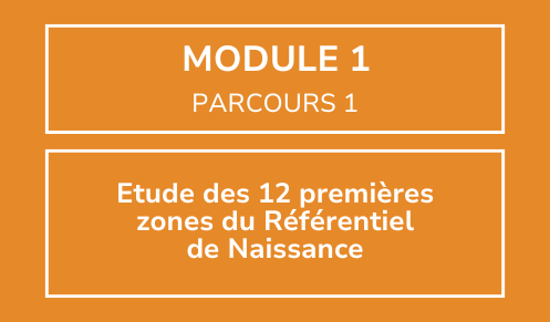Module 1
